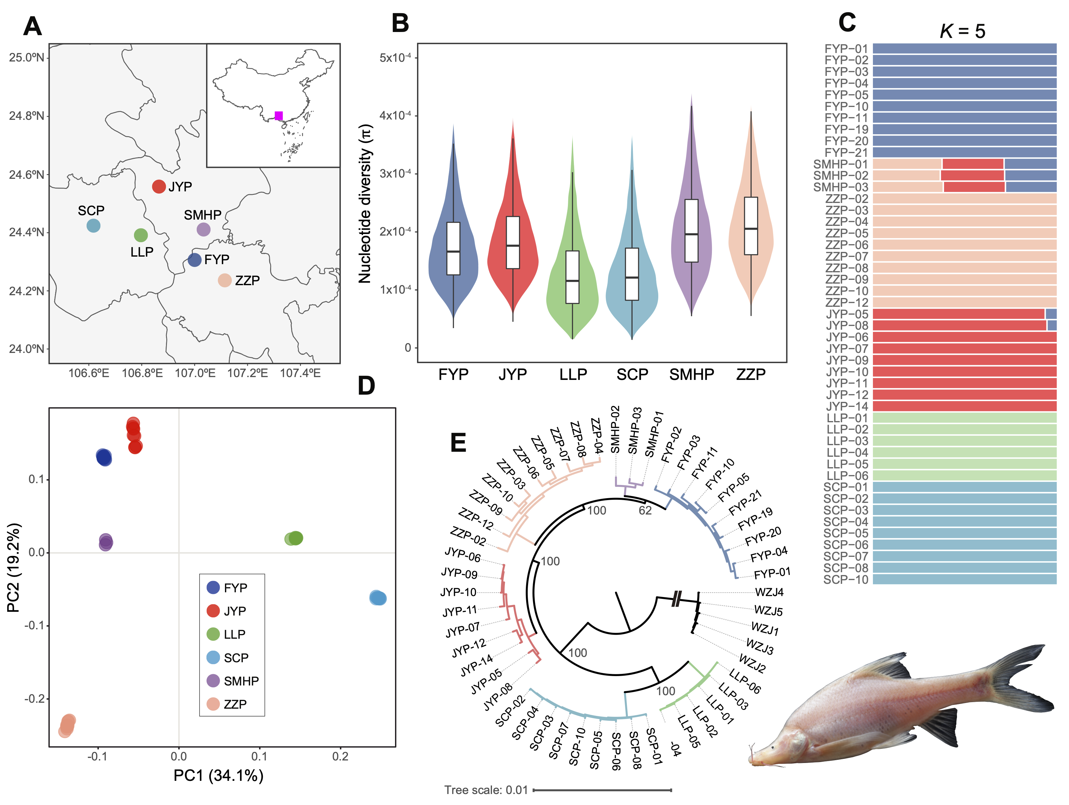 Graphical abstract