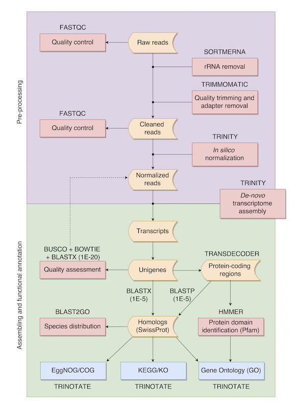 Graphical abstract